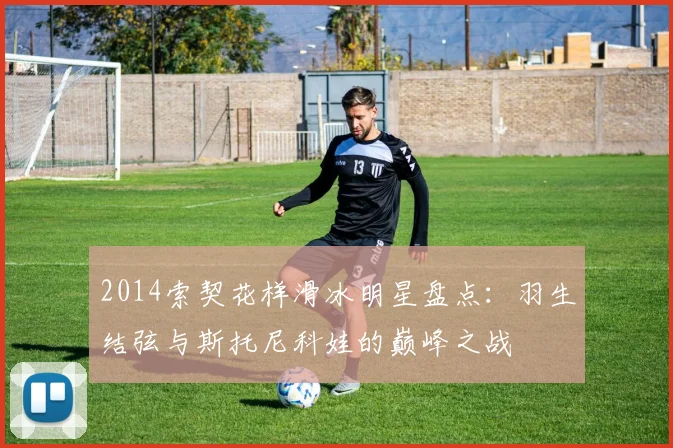 2014索契花样滑冰明星盘点:羽生结弦与斯托尼科娃的巅峰之战