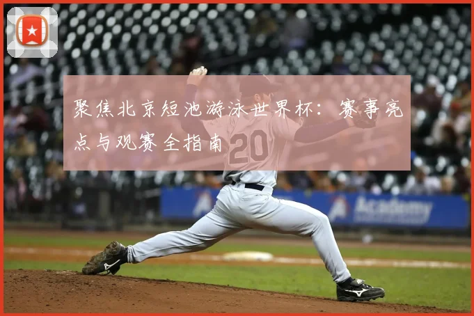聚焦北京短池游泳世界杯：赛事亮点与观赛全指南
