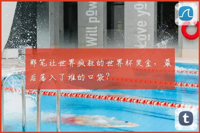 那笔让世界疯狂的世界杯奖金,最后落入了谁的口袋?