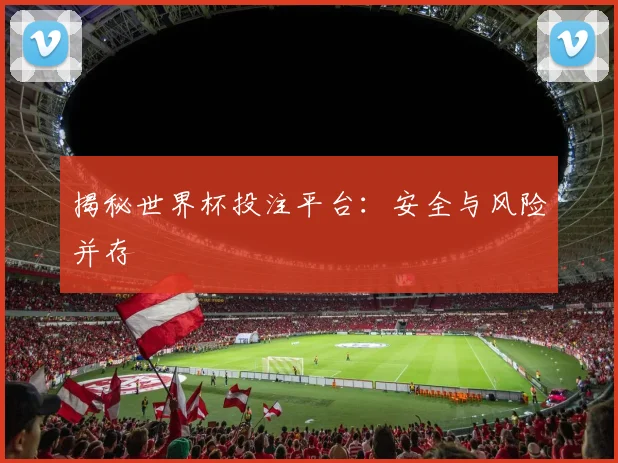 揭秘世界杯投注平台:安全与风险并存
