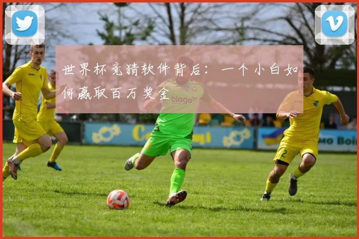 世界杯竞猜软件背后：一个小白如何赢取百万奖金