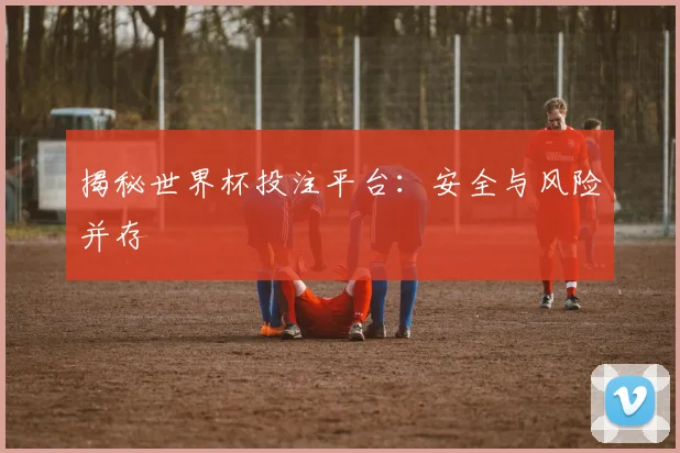 揭秘世界杯投注平台：安全与风险并存