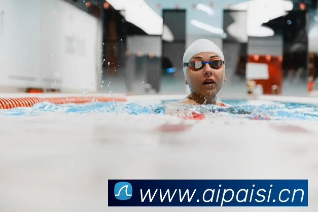 mksports登录入口平台生态图